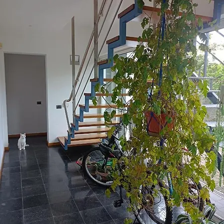 Valmoa T4 Apartment Praia da Vitoria