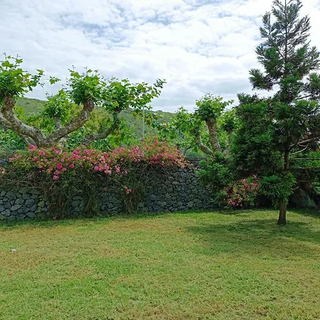 公寓 Valmoa T4 普拉亚达维多利亚